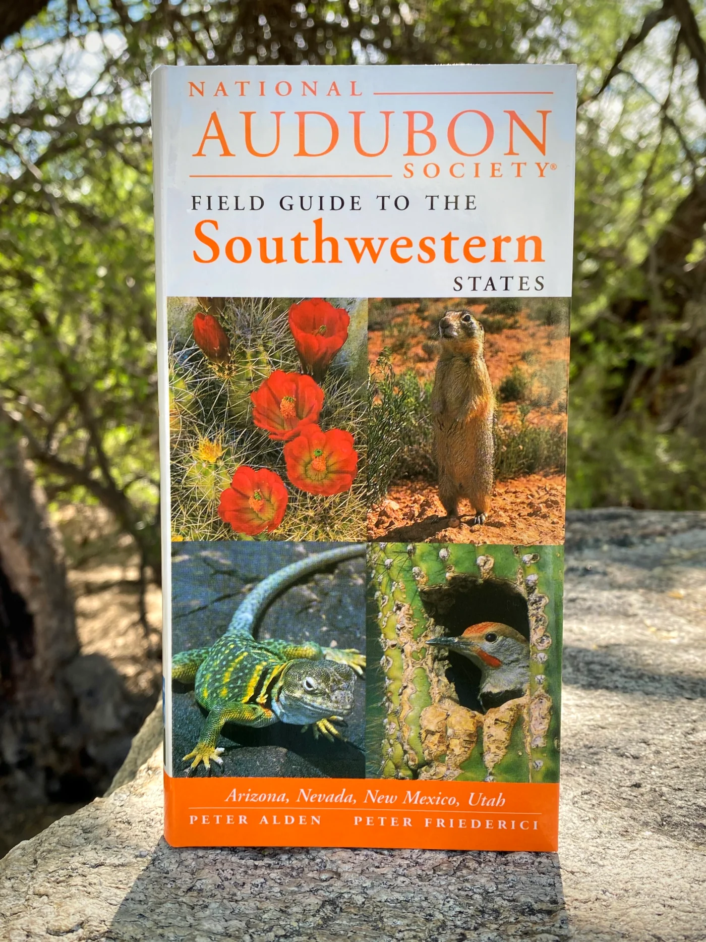 Audubon Field Guide to the Southwestern States - Image 2