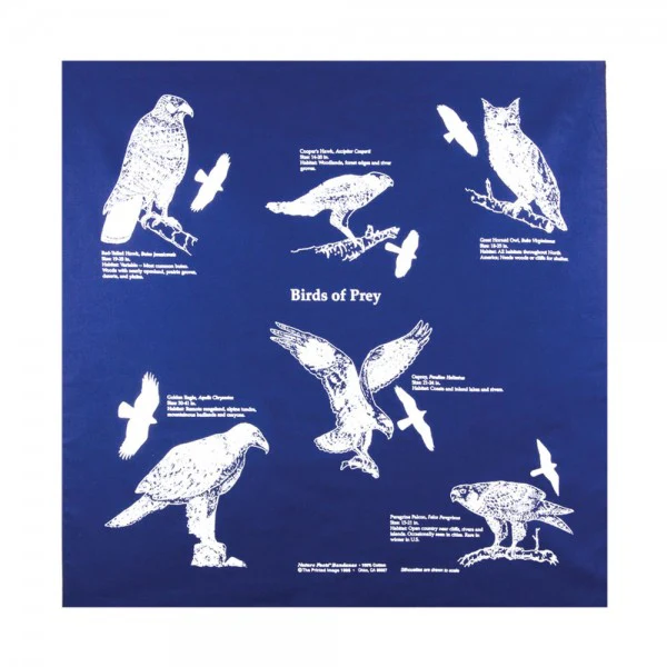 Bandana: Birds of Prey - Image 3