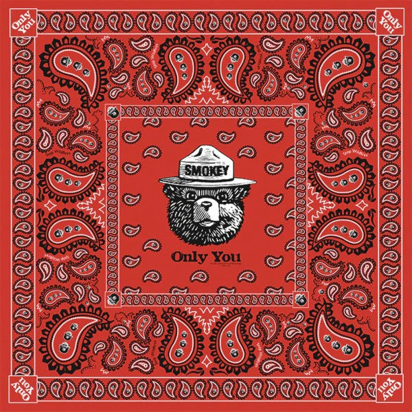 Bandana: Smokey Bear Paisley - Image 3