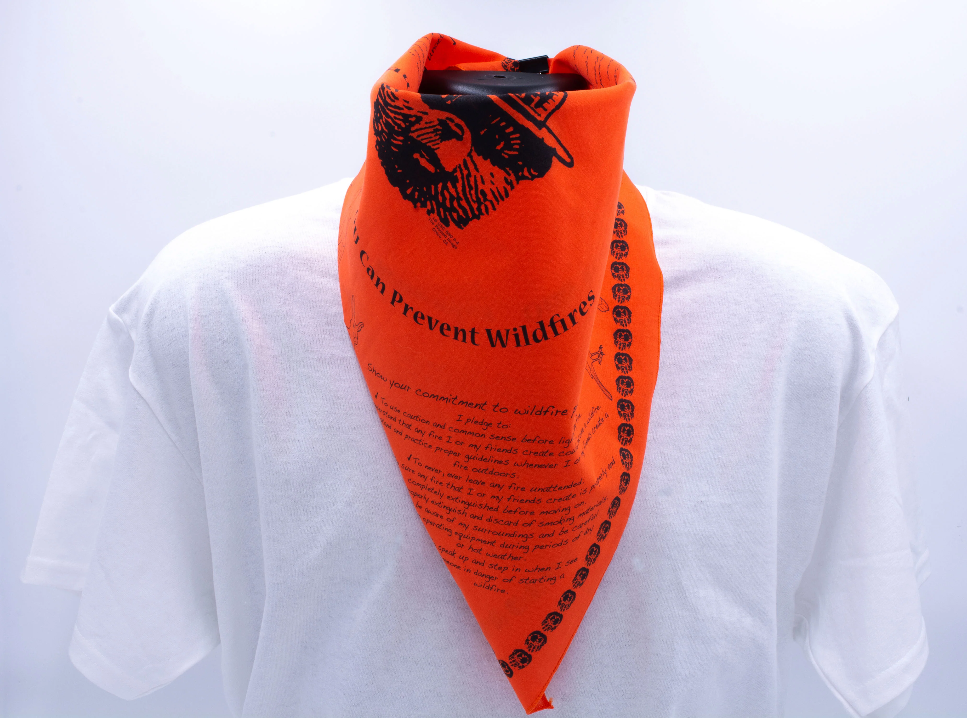 Bandana: Smokey Wildfire Prevention - Image 2