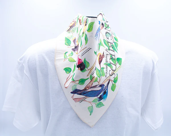 Bandana: Songbirds - Image 2