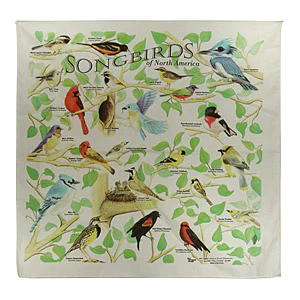 Bandana: Songbirds - Image 3