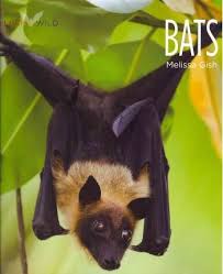 BATS