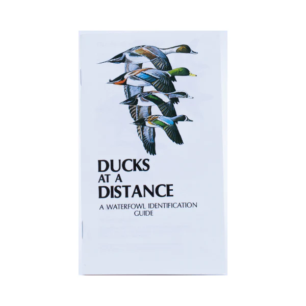 Ducks At A Distance