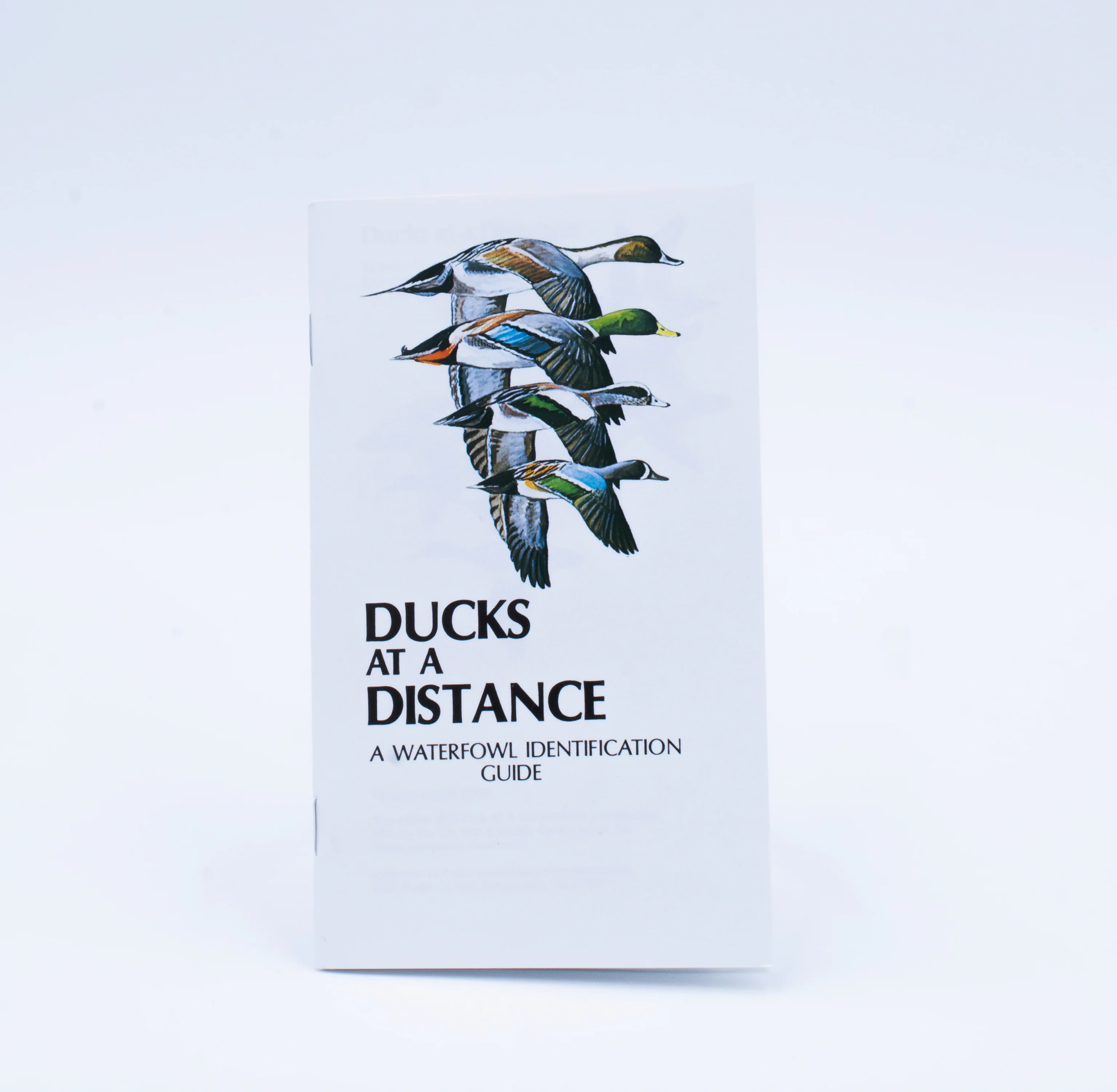 Ducks At A Distance - Image 2