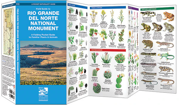 Pocket Naturalist: Field Guide to Rio Grande del Norte National Monument - Image 3
