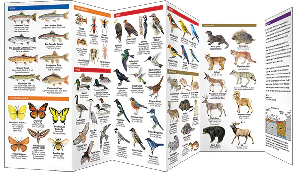 Pocket Naturalist: Field Guide to Rio Grande del Norte National Monument - Image 4