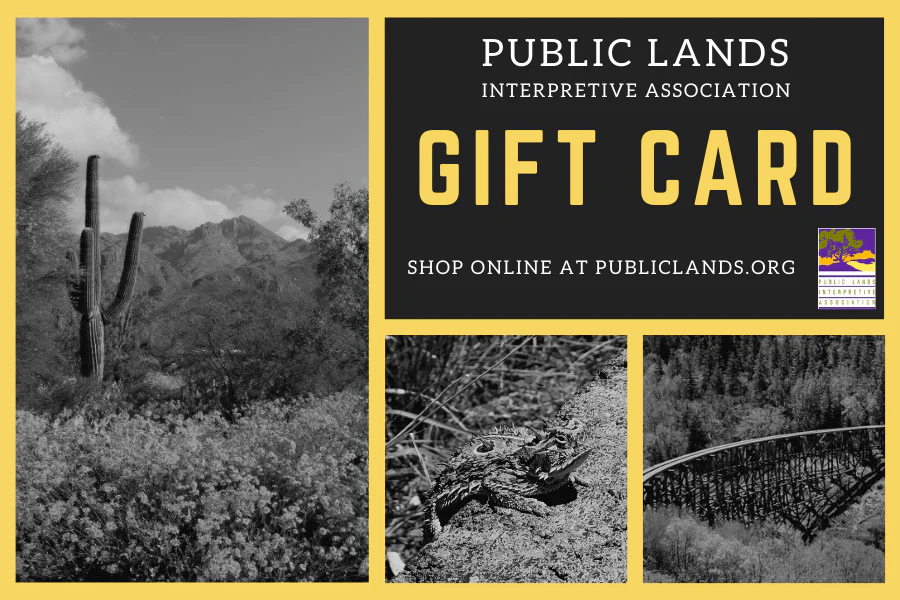 Gift Card - Image 2