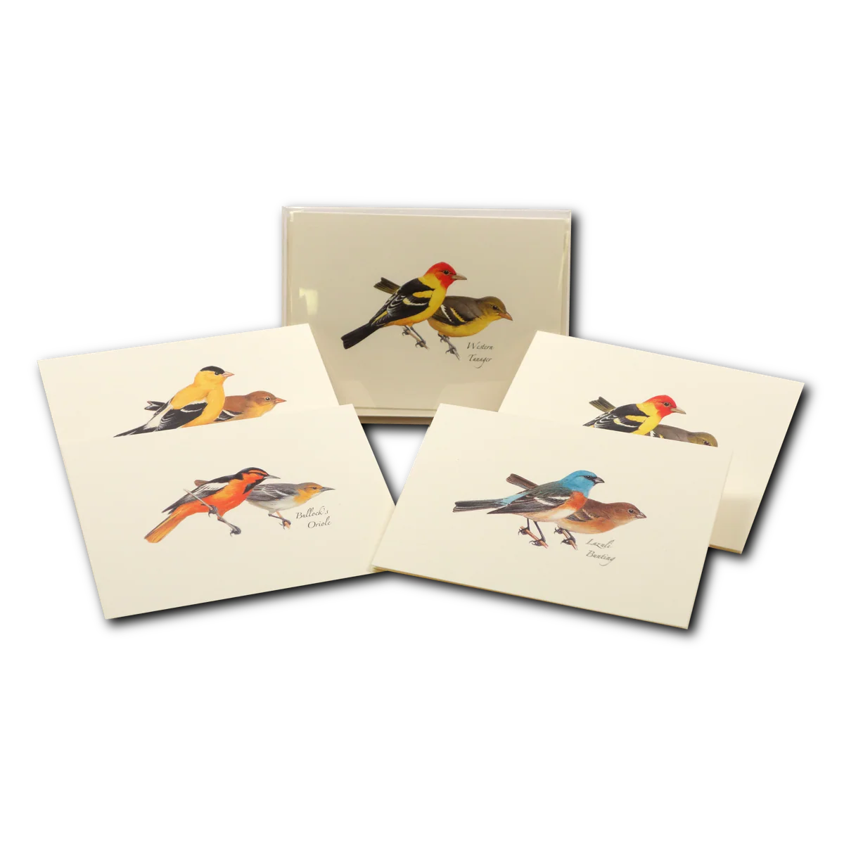 Boxed Notecards: Western Birds