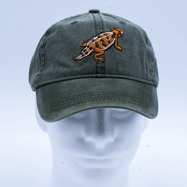 Hat: Horned Toad