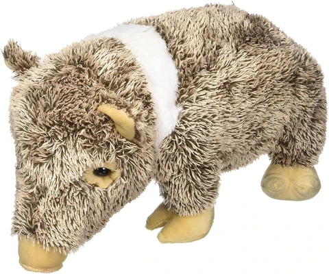 Plush: Javelina 16