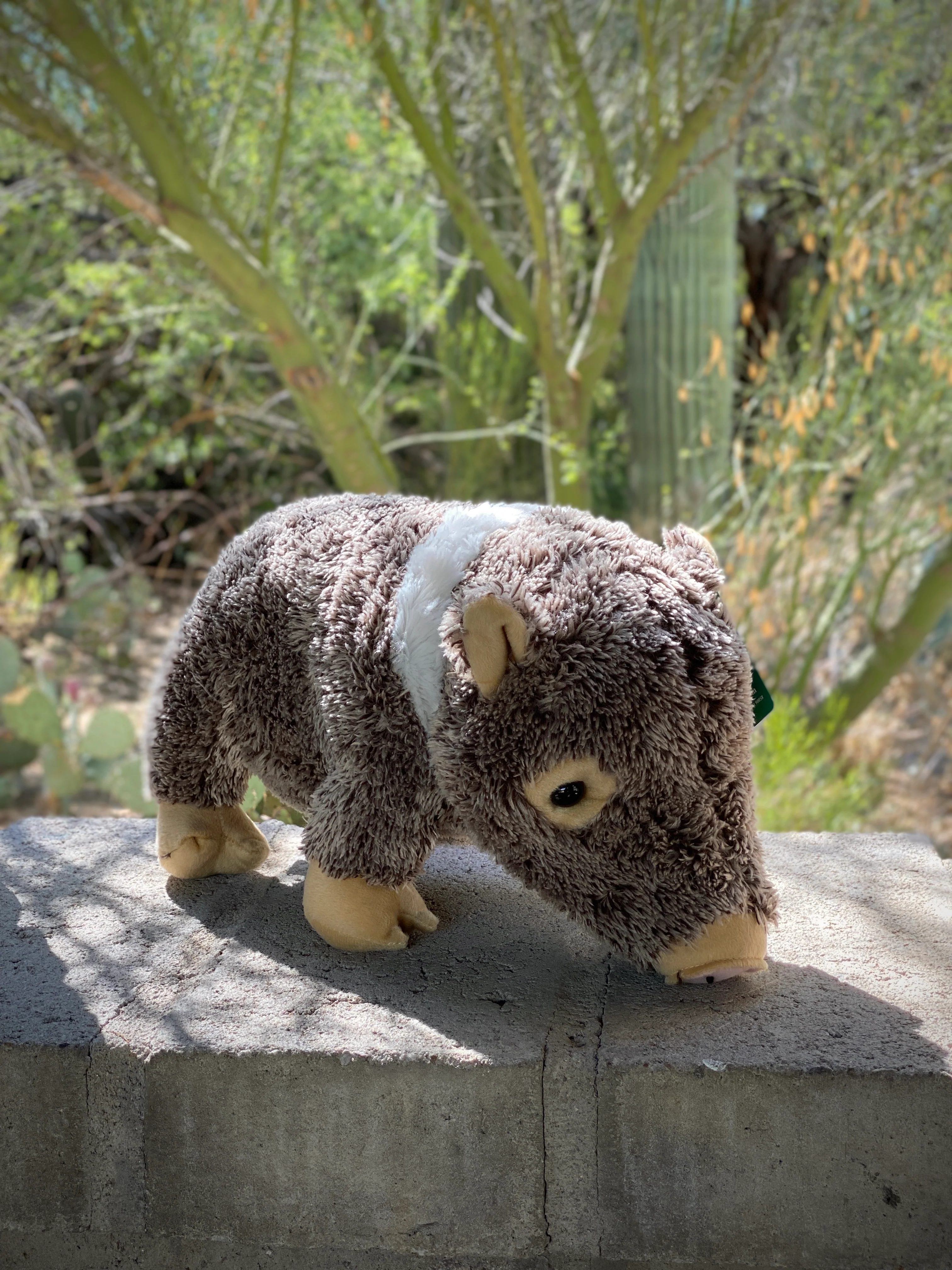 Plush: Javelina 16 - Image 4