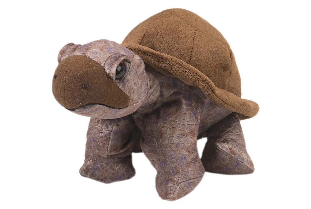 Plush: Tortoise 12"