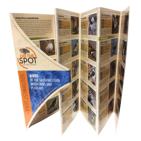 Pocket Guide: Birds of the Southwestern Mountains and Plateaus - Image 2