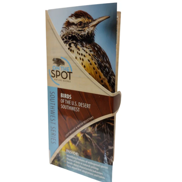 Pocket Guide: Birds of the U.S. Desert Southwest