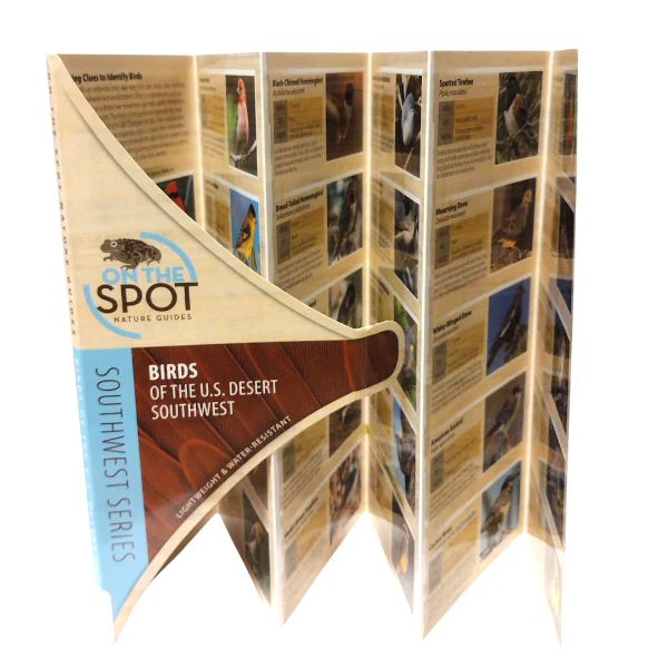 Pocket Guide: Birds of the U.S. Desert Southwest - Image 2