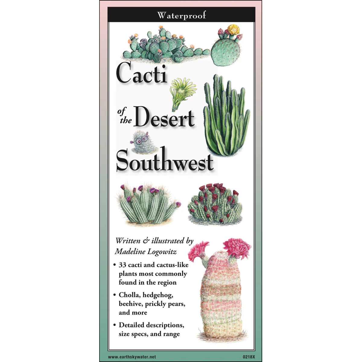 Pocket Guide: Cacti of the Desert Southwest