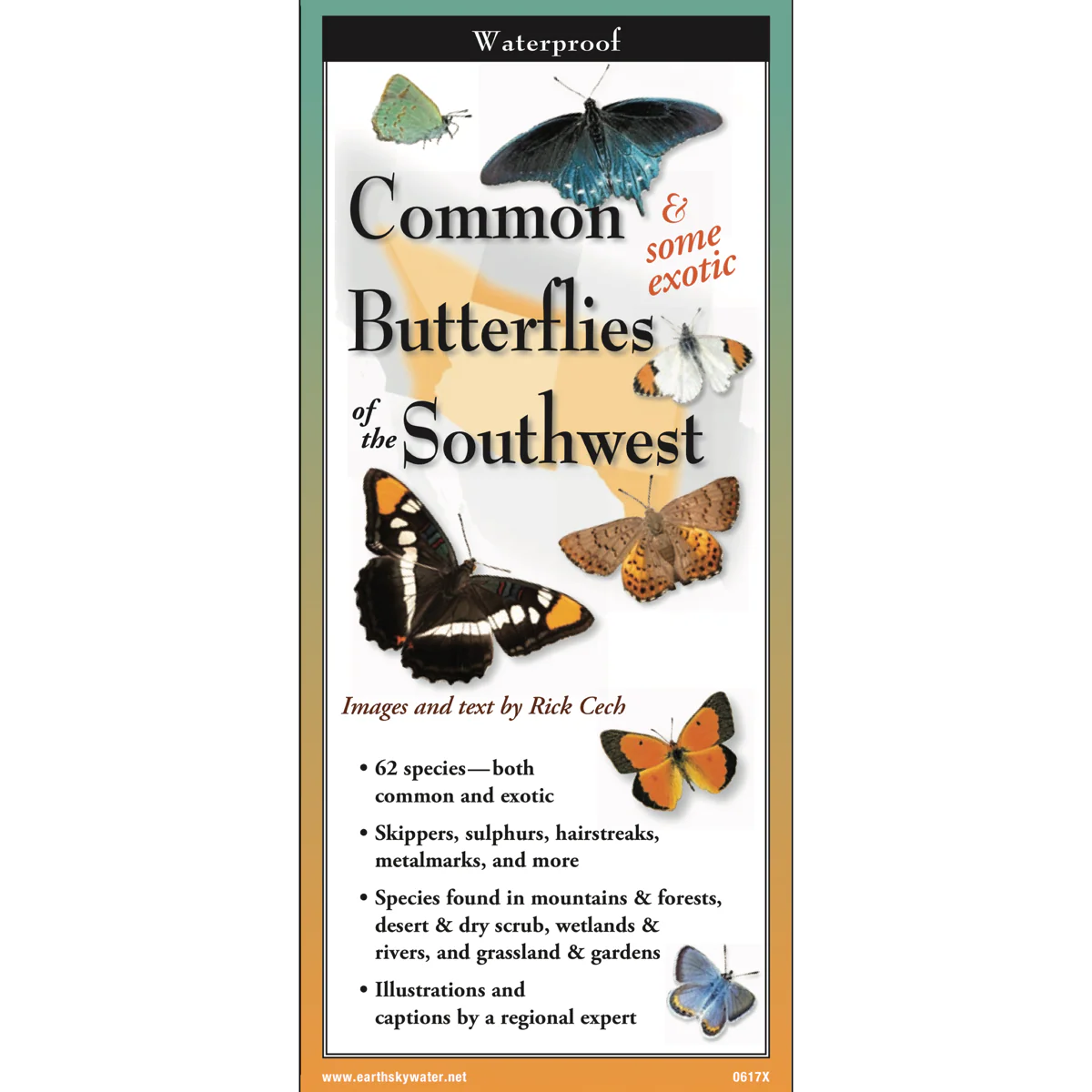 Pocket Guide: Common & Some Exotic Butterflies of the Southwest