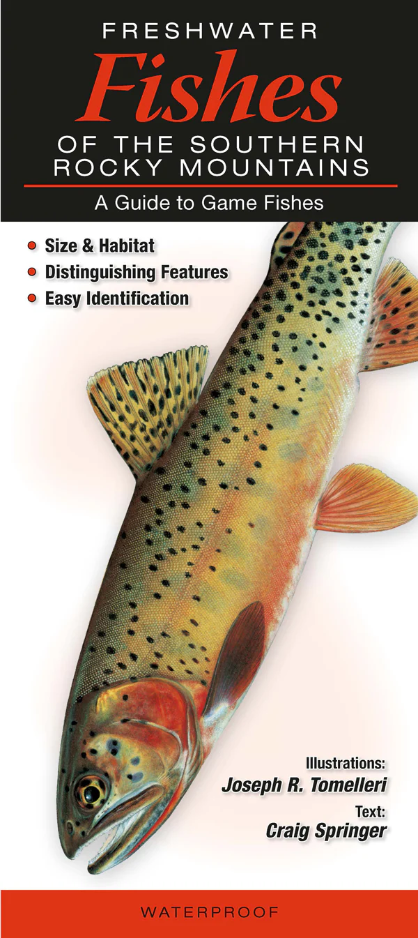 Pocket Guide: Freshwater Fishes of the Southern Rocky Mountains: A Guide to Game Fishes