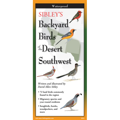 Pocket Guide: Sibley's Backyard Birds of the Desert Southwest