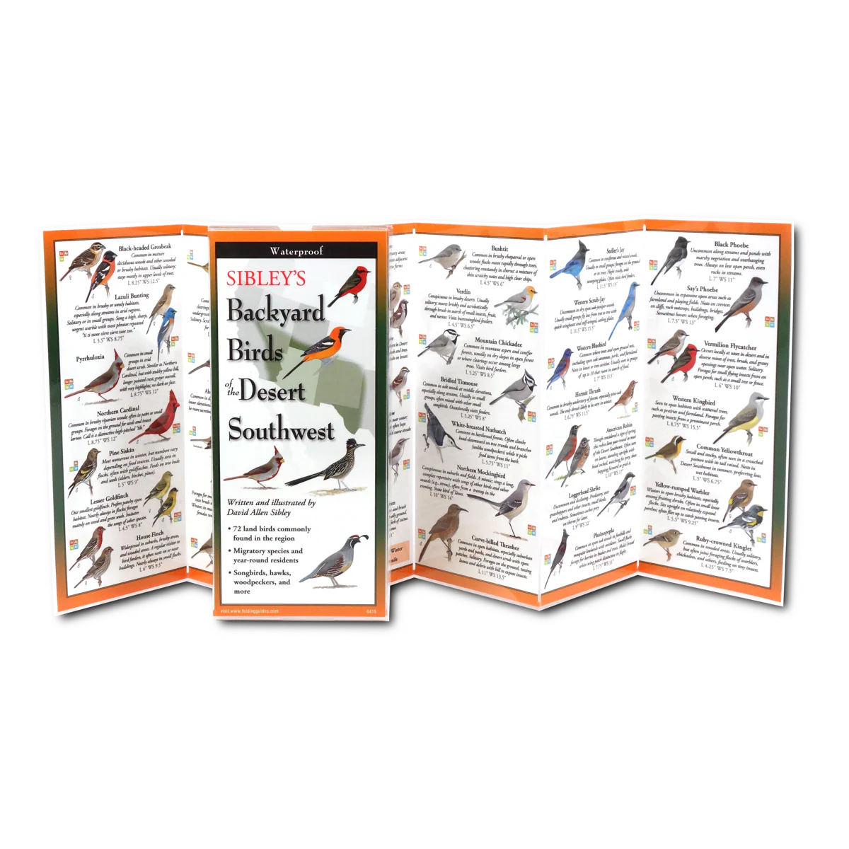 Pocket Guide: Sibley's Backyard Birds of the Desert Southwest - Image 2