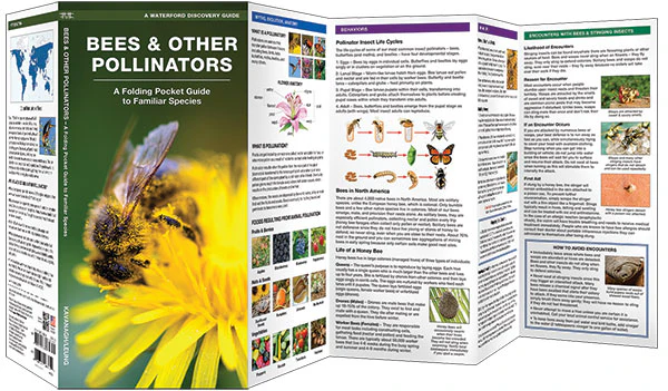 Pocket Naturalist: Bees & Other Polinators - Image 2