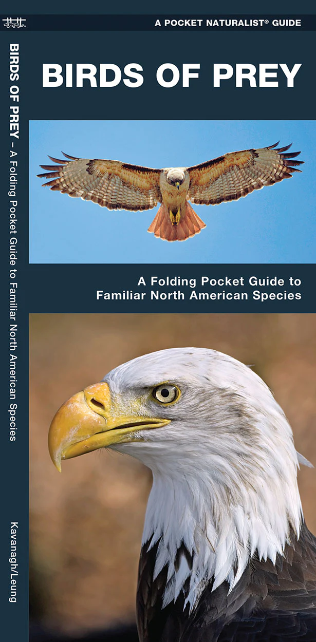 Pocket Naturalist: Birds of Prey