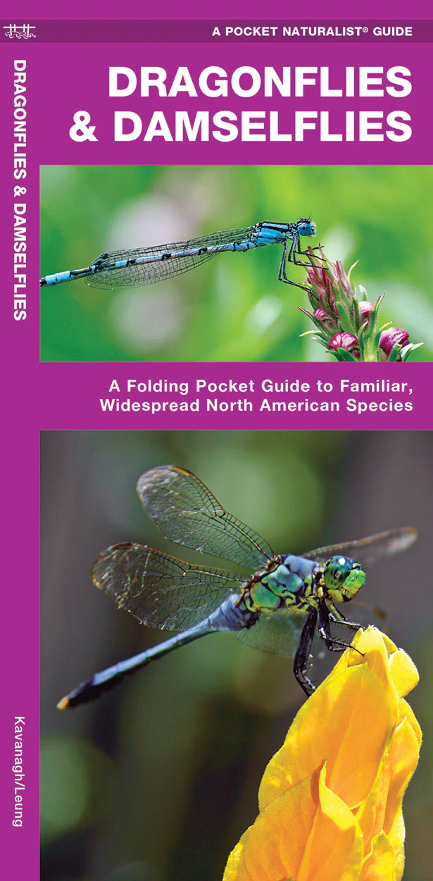 Pocket Naturalist: Dragonflies & Damselflies