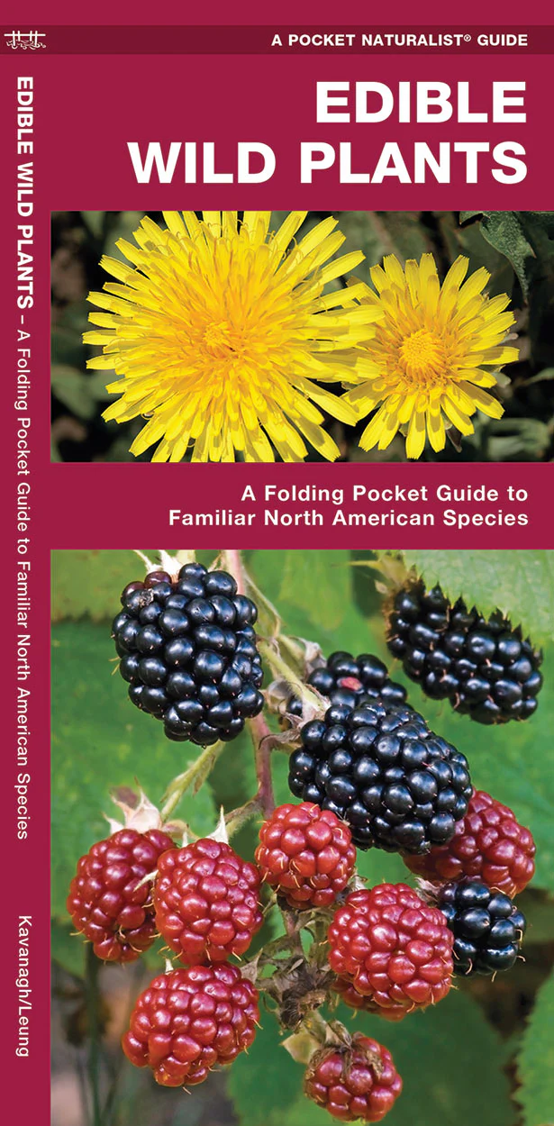 Pocket Naturalist: Edible Wild Plants
