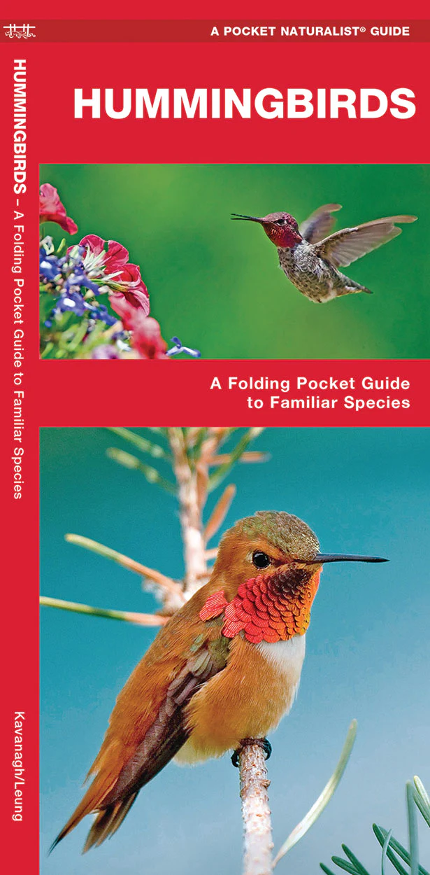 Pocket Naturalist: Hummingbirds