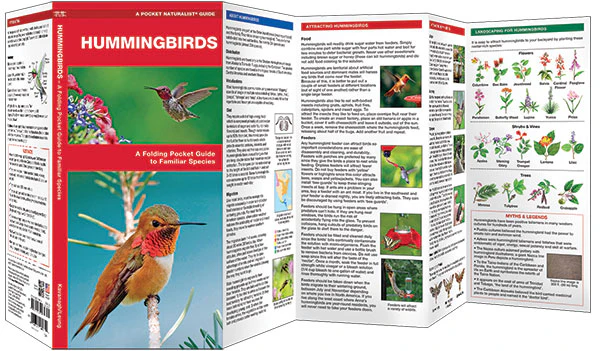 Pocket Naturalist: Hummingbirds - Image 2