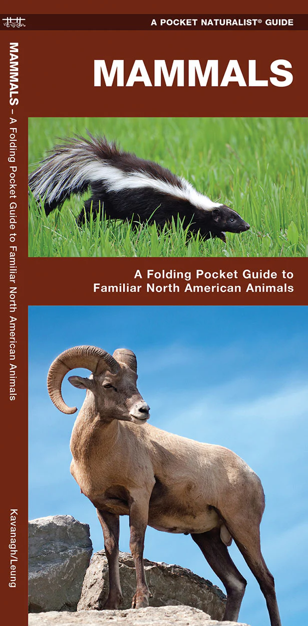 Pocket Naturalist: Mammals