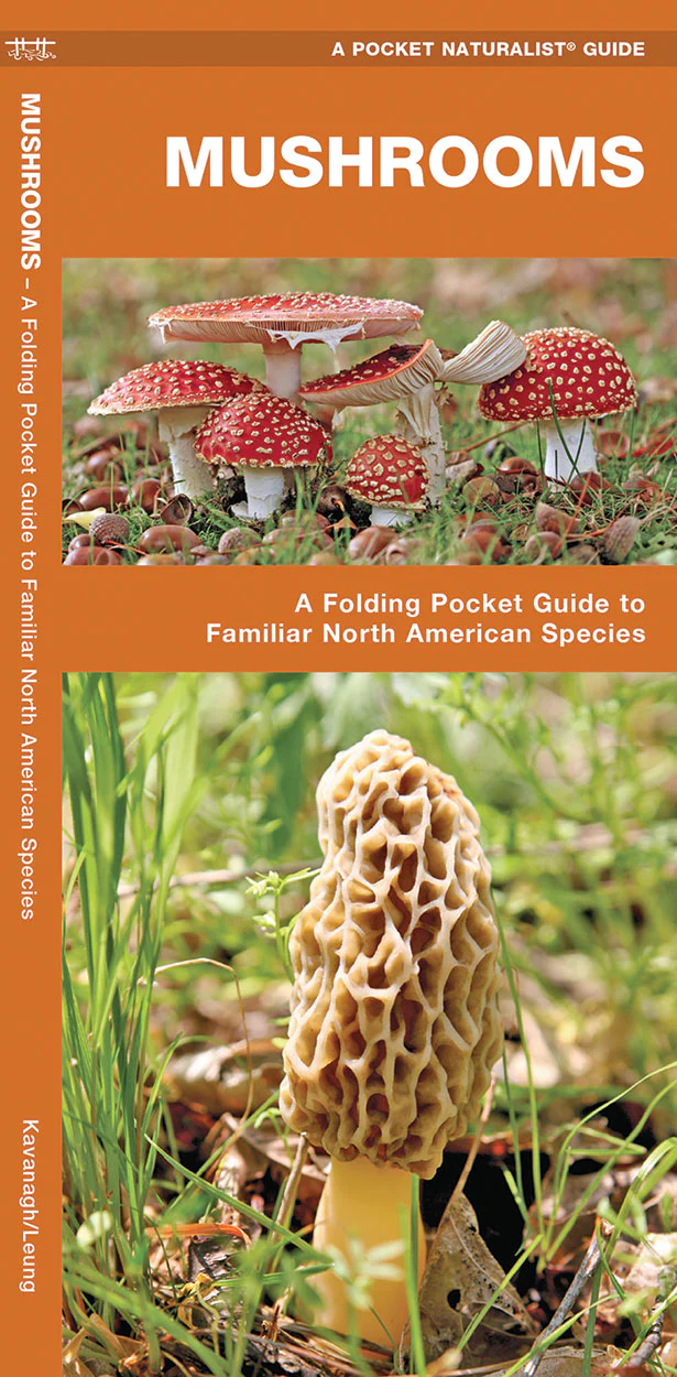 Pocket Naturalist: Mushrooms