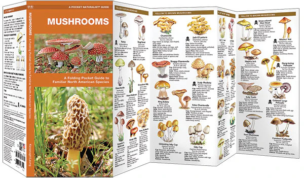 Pocket Naturalist: Mushrooms - Image 2
