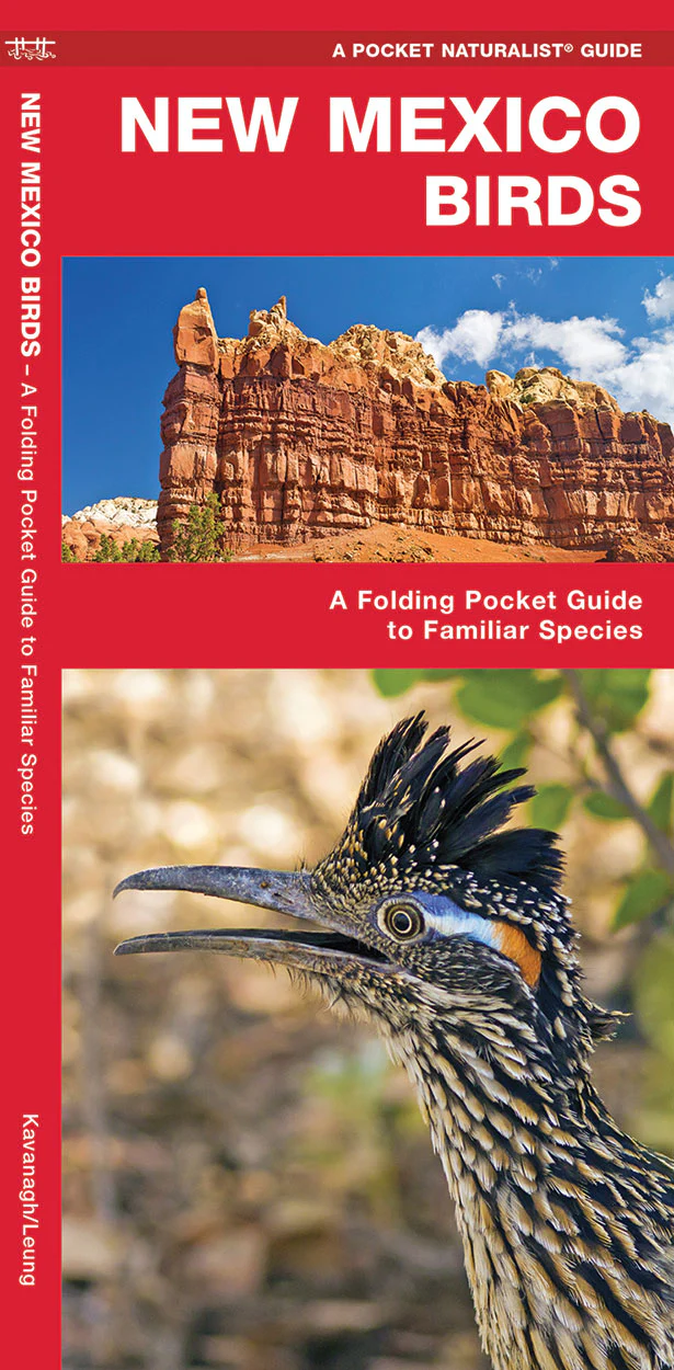Pocket Naturalist: New Mexico Birds