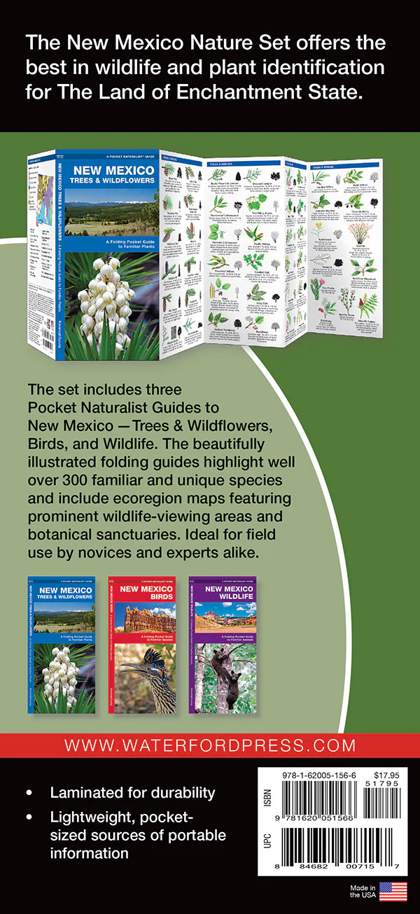 Pocket Naturalist: New Mexico Nature Set - Image 2