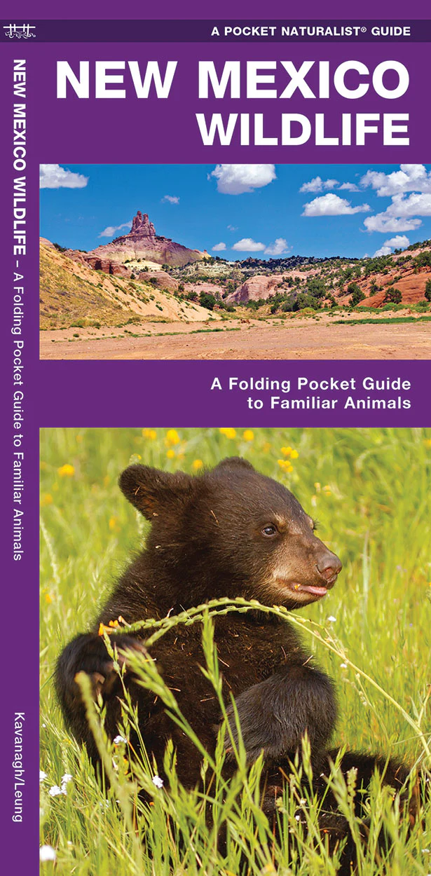 Pocket Naturalist: New Mexico Wildlife