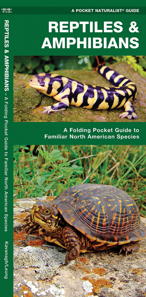 Pocket Naturalist: Reptiles & Amphibians