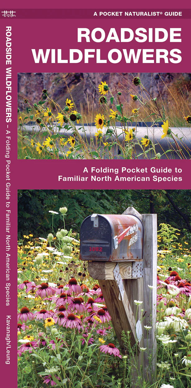 Pocket Naturalist: Roadside Wildflowers