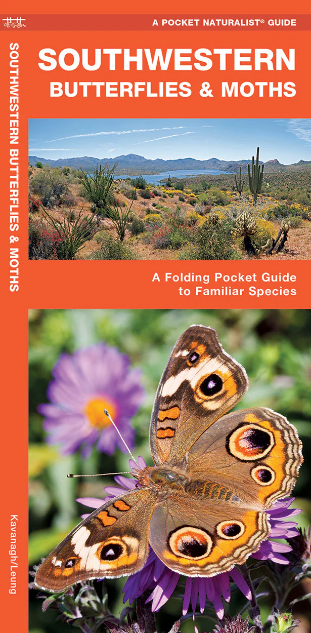 Pocket Naturalist: Southwestern Butterflies & Moths