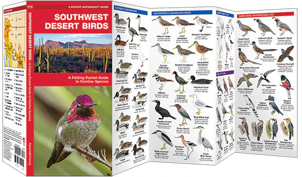 Pocket Naturalist: Southwestern Desert Birds - Image 2
