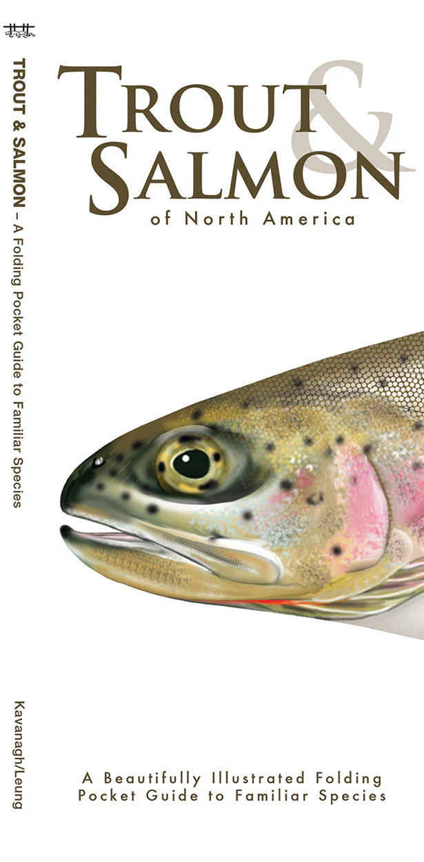 Pocket Naturalist: Trout & Salmon of North America