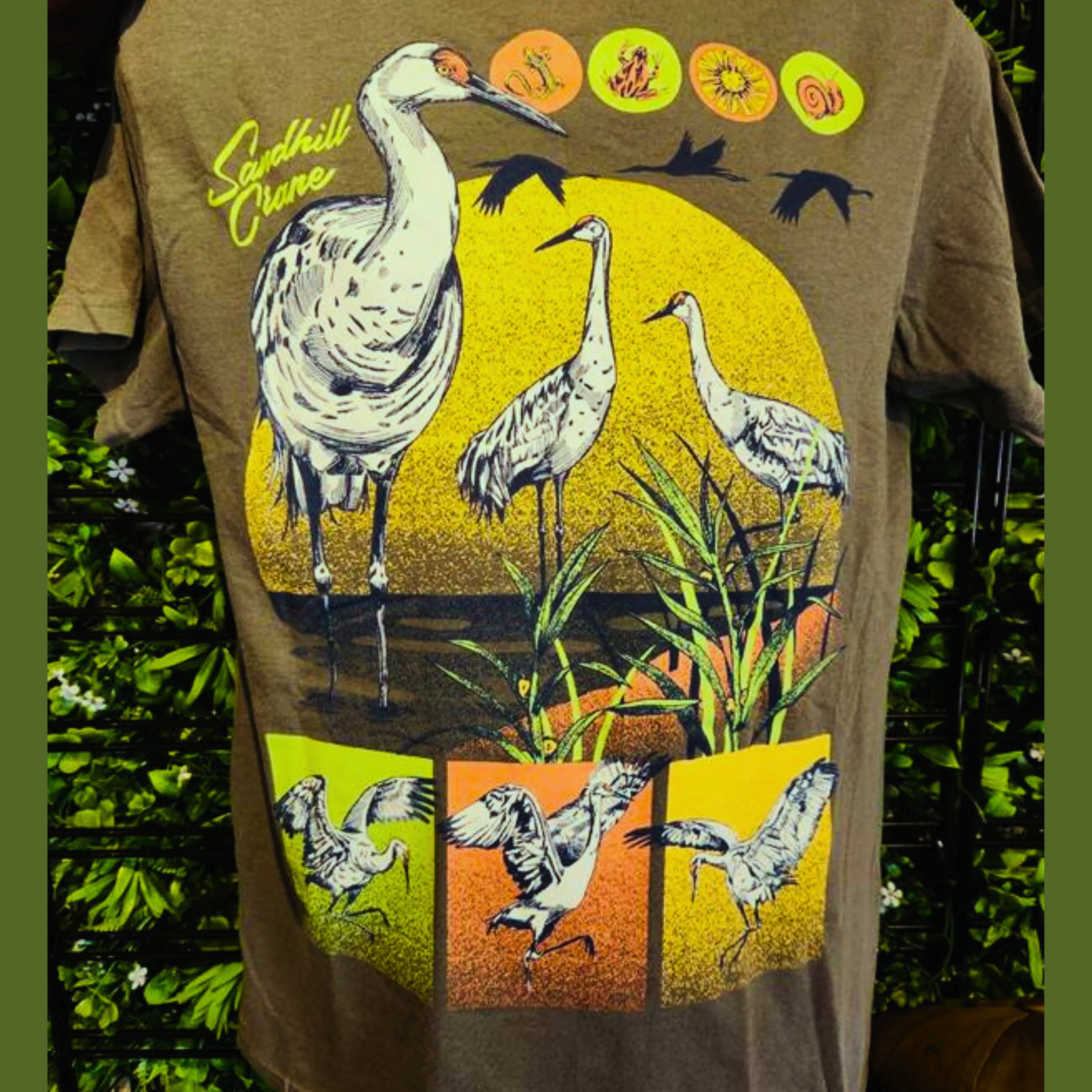 Stewardship in Flight: Flyway Favorites Bundle - Image 4