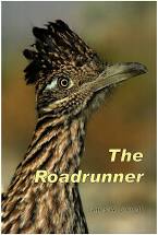 The Greater Roadrunner
